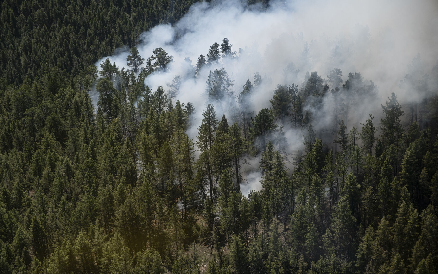 Crooked Creek Fire 2021